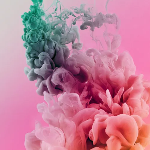 Couleur Unie